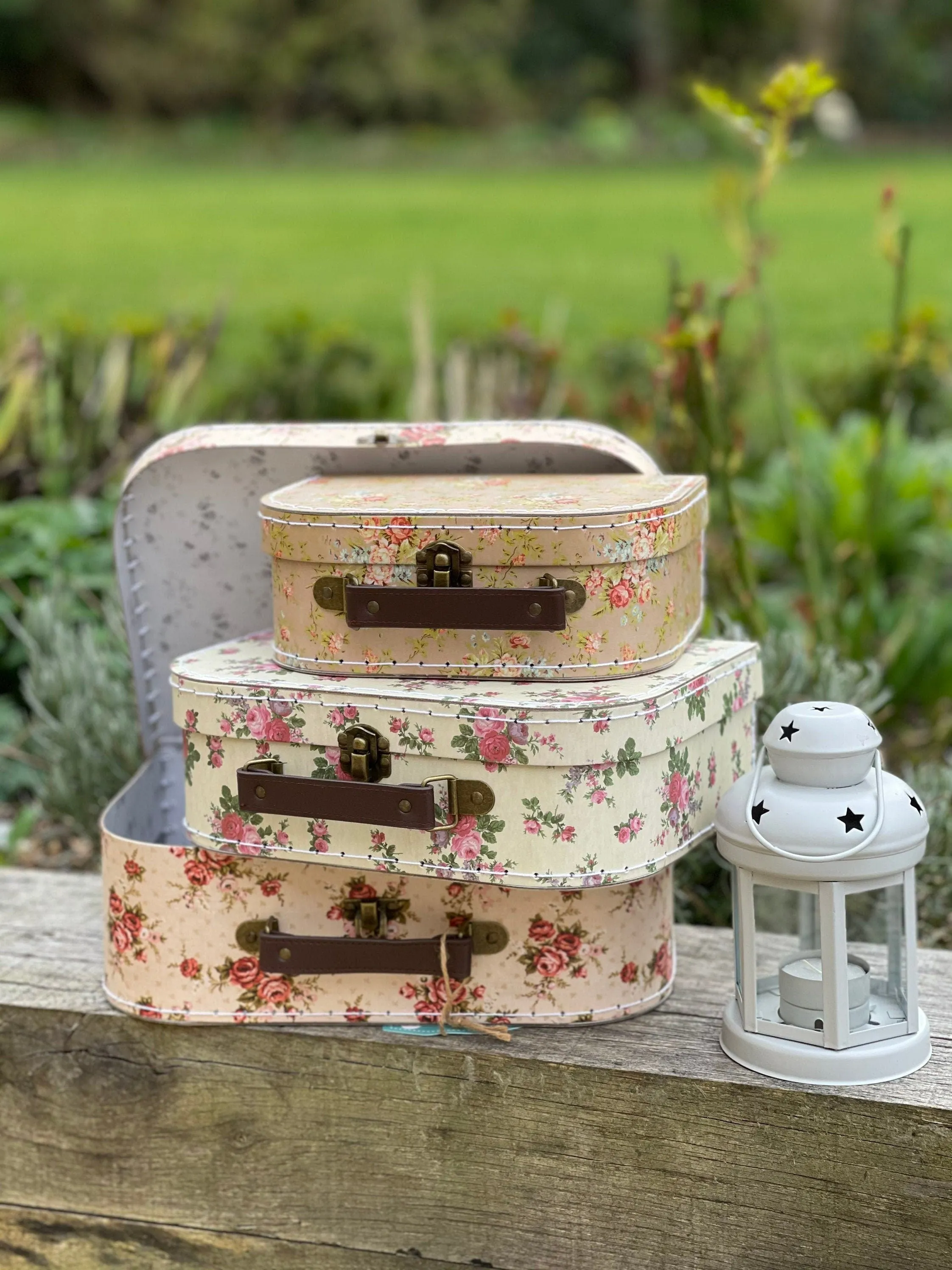 Vintage Rose Suitcases - Set of 3